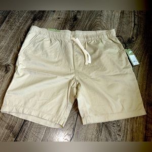 NWT mens Goodfellow & Co. shorts